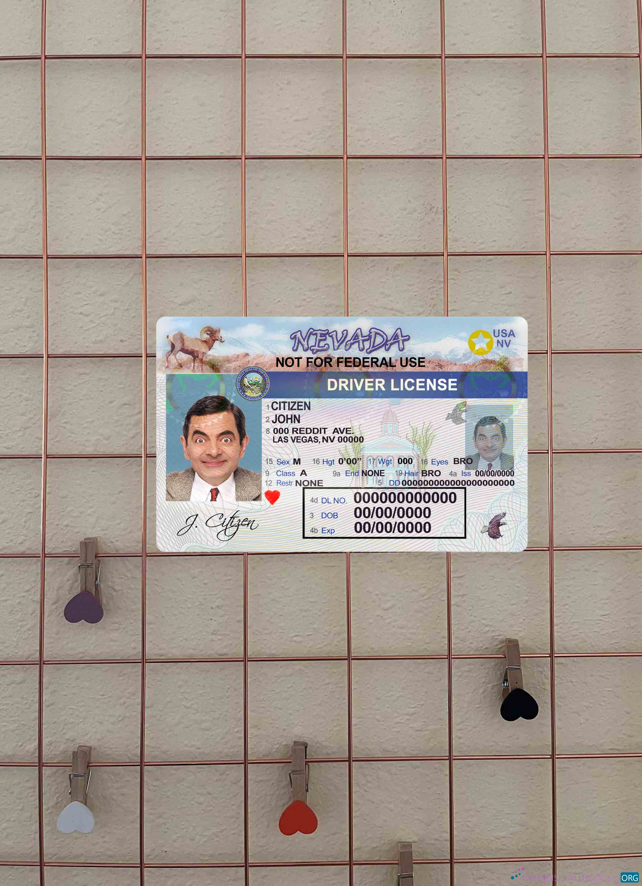 Download USA Nevada DL photolook FRONT Photoshop template